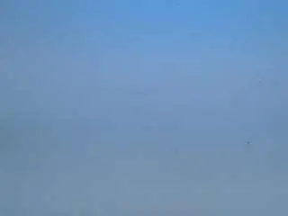 mikitourab from camsoda