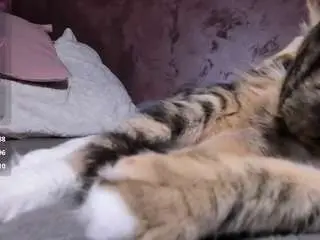 Camsoda Best live sex cam show of liakarter