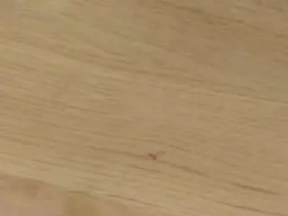 Camsoda Free Porn Cam of karina-mason