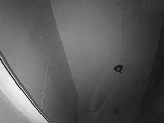 Camsoda Live Sex Cam of voyeurcam-casa-salsa-bathroom-10