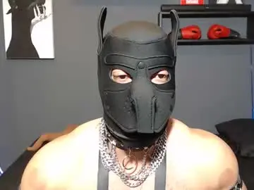 Chaturbate Live Porn of dober_manent