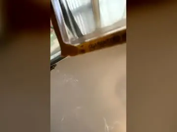 Chaturbate Free Live Porn of nicholaastavrou1977066464511s