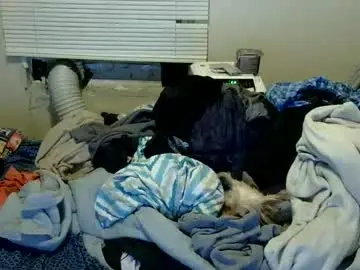 Chaturbate Adult Webcam of oflores77