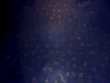 Chaturbate Private Sex Chat of sommer_alexa