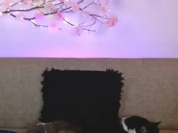 Chaturbate Adult Video Chat of haru_blossom