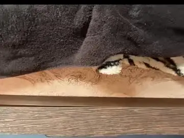 Chaturbate Free Live Porn of smalldick00700