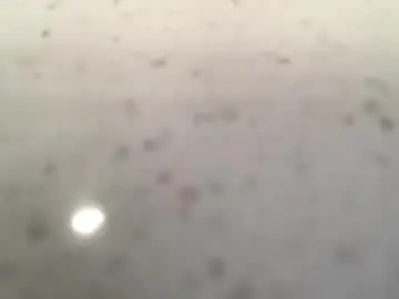 Chaturbate Best live sex cam show of bignuts199cb