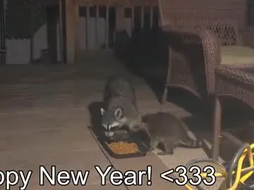 Chaturbate Sex Cam of rndmzd