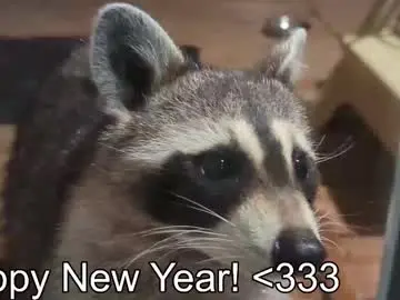 Chaturbate Private Sex Chat of rndmzd