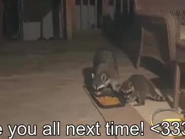 Chaturbate Nude Webcam of rndmzd