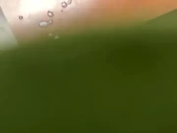 Chaturbate Sex Chat of bxbomber2012