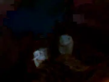 Chaturbate Sex Chat of nicholaastavrou1977066464511