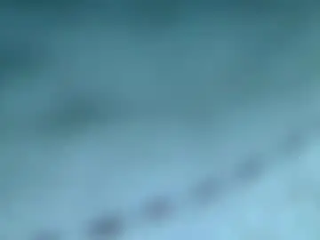 Chaturbate Nude Webcam of bjfisher