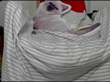 Chaturbate Nude Webcam of you_love_melisa