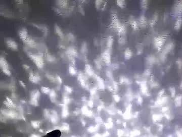 Chaturbate Adult Webcam of nastysubs69