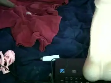 Chaturbate Adult Webcams of analelasticity