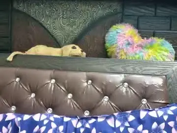 Chaturbate Free Live Porn of dollmeenu