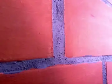 Chaturbate Sex Chat of littlesun2216