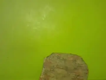 pretty_g2 from chaturbate