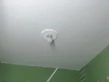 Chaturbate Best Webcam of xalejo_max