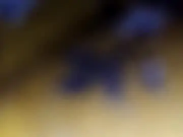 percocetpete45 from chaturbate