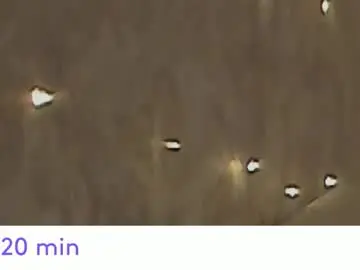 Chaturbate Private Sex Chat of jeniferji