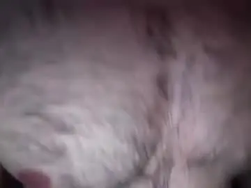 Chaturbate Adult Video Chat of musclehair3