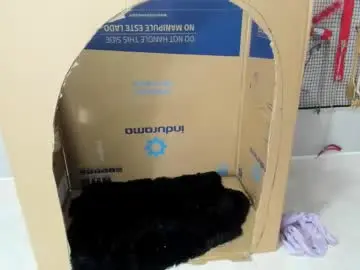 Chaturbate Free Live Porn of bdsm_meduza