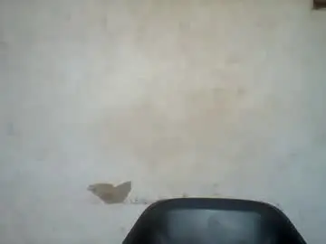 Chaturbate Sex Cam of happyslut7