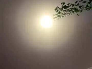 Chaturbate Sex Chat of lowkey42011