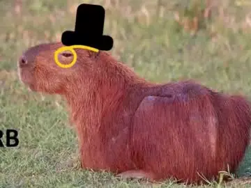 Chaturbate Nude Webcam of revivedunknown