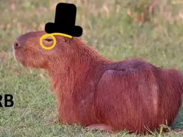 Chaturbate Best Webcam of revivedunknown