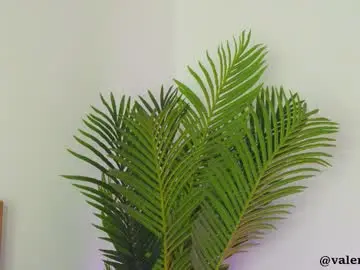 Chaturbate Sex Chat of valery_swan1