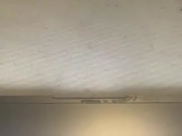 Chaturbate Adult Webcams of melt13