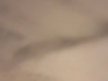 Chaturbate Nude Webcam of magicmike1110