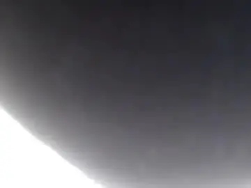 Chaturbate Free Porn Cam of pala3441