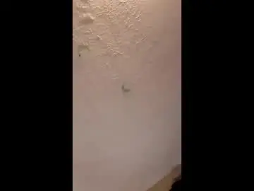 Chaturbate Nude Webcam of rmabe4260