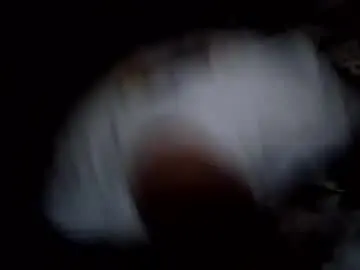 Chaturbate Best live sex cam show of sparkyspeedway