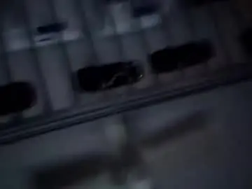 Chaturbate Free Porn Cam of sparkyspeedway