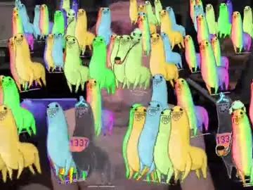 Chaturbate Best live sex cam show of booker_baxton