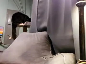 Chaturbate Free Porn Cam of snackyyyy