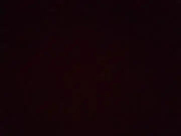 Chaturbate Best Webcam of hairyboy12455