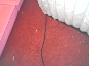 gamerbod9949596 from chaturbate