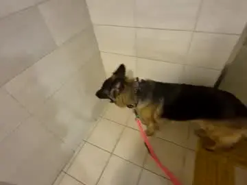 Chaturbate Best Webcam of spike21fantasti978506