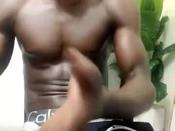 Chaturbate Nude Webcam of sneaky_link2