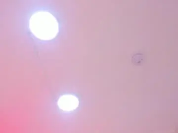 Chaturbate Adult Webcams of lisawilsonn