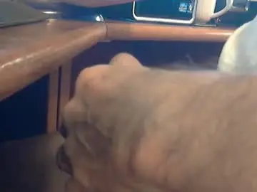 Chaturbate Sex Cam of wineman88886