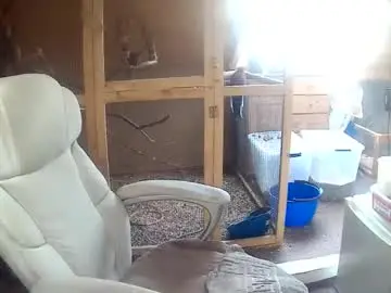 Chaturbate Watch Live Sex Cams of germany_50