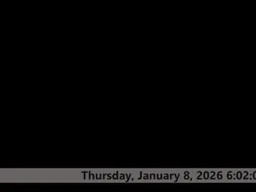 Chaturbate Adult Webcam of space_dog25