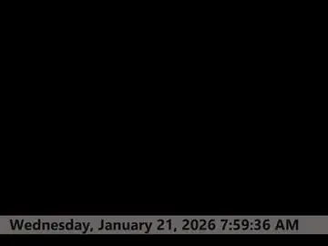 Chaturbate Nude Webcam of space_dog25